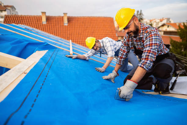 Roof Moss and Algae Removal in Arthurtown, SC